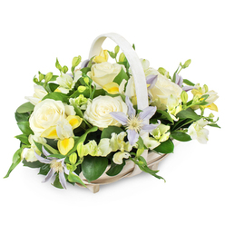 In this detailed studio image, a refined funeral flower basket sits alone against a pure white background, its quiet beauty echoing the gentle character of New Barnet's tree-lined streets. The basket itself is a light, natural wicker in soft beige, its oval shape and tall matching handle giving it a traditional, comforting feel, like something you might carry from the markets near East Barnet Village. Inside, the design is rounded and full, dominated by creamy white roses in generous, open bloom. Their petals are soft and velvety, layered in spirals that draw the eye inward and create an immediate impression of grace, innocence, and a life well remembered. Weaving through the roses are star-shaped clematis flowers, tinted in pale lavender and whisper-light periwinkle, each with a distinctive yellow-green center that brings a delicate glow to the arrangement, reminiscent of early evening light over New Barnet station. Clusters of white and pale yellow freesia-like flowers fill the spaces between, some still in bud with tight, pointed tips, others open and gently flared, suggesting both memory and renewal. Additional white, ruffled blossoms-similar to lisianthus-add softness and volume, ensuring there are no harsh edges. All of this rests on a lush cushion of rich green foliage, with glossy leaves and finer stems overlapping to frame the blooms and give a sense of depth and protection. The overall colour harmony of white, cream, lemon, and lavender, set against deep greens, creates a soothing, dignified tribute. It feels perfectly suited to a funeral service, wake, or sympathy delivery in New Barnet, offering a message of quiet support when words are hard to find.