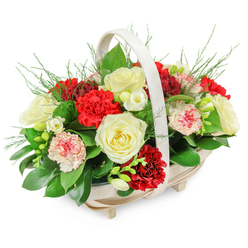 A serene funeral basket arrangement is pictured, crafted with the quiet care that a local New Barnet florist might bring to a family's farewell. The flowers are gathered in a shallow, oval wooden basket made from pale, natural slats, gently lifted on four discreet feet and topped by a smooth, arched handle. Its soft, neutral tones echo the calm of a quiet side street off Station Road. From this simple base rises a full, dome-shaped mound of blooms in crimson, ivory, and blush pink, densely packed so that no gaps disturb the harmony. Creamy white roses, fully open yet still plush, sit prominently through the centre, their layered petals suggestive of innocence, reverence, and the cherished memories shared over a lifetime. Around them cluster deep red carnations, their heavily ruffled petals catching the light and creating shadows that add a sense of depth and richness, like a heartfelt whisper of love and gratitude. Intermingled are pale pink and white-rimmed carnations, each petal gently brushed with colour, introducing softness and a quieter emotion. Finer details come from sprays of small white flowers, possibly freesias, whose slender stems curve gracefully among the larger blooms, hinting at a delicate fragrance. A bed of glossy, dark green leaves cradles the flowers, while wisps of feathery green foliage drift outward, softening the edges so the bouquet appears to gently overflow the basket. The clean white background allows every shade and texture to stand out clearly, inviting a moment of reflection. This arrangement would look fitting beside a framed photograph at a wake in New Barnet or placed at a grave in the nearby cemetery, a respectful, comforting expression of sympathy.
