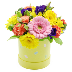 Set against a clean white backdrop, this spring hatbox arrangement looks like a burst of Easter colour freshly gathered from a New Barnet garden. The flowers form a dense, rounded dome that gently cascades over a pastel lime-yellow cylindrical hatbox, creating a full and generous outline. Dominating the front of the design is a large, light pink Gerbera daisy, its perfectly arranged petals fanning out around a soft green eye, giving the bouquet a friendly, open expression. Around it, bright yellow chrysanthemums cluster in joyful profusion, their sunny faces instantly lifting the mood, much like a clear morning walking through nearby Oakhill Park. Coral-orange carnations nestle among them, their frilly, layered petals adding softness and a hint of nostalgia, while pockets of deep violet-purple lisianthus peep through the brighter tones to lend drama and sophistication. The flowers are supported by an assortment of fresh green foliage, including some lightly variegated leaves that introduce extra pattern and visual interest, as if echoing the first fresh shoots in local New Barnet hedgerows. The hatbox container is a soothing pastel yellow-green and carries a playful scattering of tiny Easter eggs in muted pink, blue, and white, many decorated with gentle stripes or dots, evoking family celebrations and children's egg hunts. The result is an arrangement that feels both festive and comforting, perfect for brightening a hallway console, dressing a dining table for an Easter lunch, or sending as a "thinking of you" gift to someone in New Barnet or the nearby streets, where same-day delivery keeps the flowers looking as fresh as a spring sunrise.