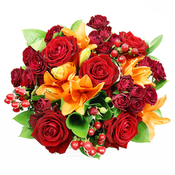 From a top-down view, this lush bouquet presents a harmonious chorus of deep reds, glowing orange and fresh greenery, arranged to feel abundant and reassuring. Several large, fully opened crimson roses form the focal heart, their velvety petals layered into classic rosette centres that suggest fullness and a soft, familiar perfume. Piercing through and accenting the reds are vivid orange Asiatic lilies; some are wide and trumpet-like with visible stamens and subtle dark freckles, while others sit in elegant, curled buds that promise a staggered bloom over days. Tiny clusters of burgundy spray roses nestle close to the larger blooms, their compact clusters adding tactile richness and a deeper tonal undercurrent. Shiny hypericum berries scatter like little rubies across the surface, catching the light and offering a bright, textural counterpoint to the soft petals. Lush, glossy green leaves-likely ruscus or salal-peek out and frame the shapes, lending contrast and a calming coolness. The bouquet is tightly gathered and circular, photographed against a pristine white backdrop so colour and form read clearly; the lighting is gentle and diffuse to reveal delicate textures. Imagined for a special occasion in New Barnet-perhaps delivered after a stroll past Station Road shops-this arrangement communicates warmth, celebration and intimate romance, perfect for anniversaries, heartfelt thank-you gifts or as an autumnal statement to brighten a dining table.