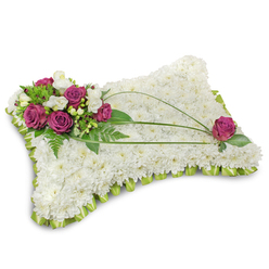 A lovingly composed funeral pillow sits against a pure white backdrop, its low shadow suggesting quiet repose. The main surface is densely covered with hundreds of small white chrysanthemum blooms, packed so closely they read as a soft, cloudlike white blanket-an enduring symbol of peace and purity. The perimeter is finished with a neat pleated lime-green satin ribbon, folded to create a subtle ruffled edge that provides a gentle contrast and finished craftsmanship. Nestled into the top-left is an elegant cluster of rich magenta roses, their velvety petals opening like quiet breaths; they are interspersed with fragrant white freesia and a few creamy lisianthus for delicate texture and scent. Lush emerald foliage-soft fern fronds and glossy leaves-frames the cluster and adds depth and warmth. Three long, slender stems of bear grass arc across the pillow's face, guiding the eye to a solitary magenta rose placed near the lower-right for compositional balance. The lighting is soft and even, revealing the gentle sheen on the ribbon and the tactile quality of the chrysanthemum surface without glare. As experienced florists serving New Barnet and the surrounding Borough, Flowers New Barnet crafts this type of tribute for local memorials and funerals near Victoria Road and Monken Hadley Common, where families often request a calm, understated expression of condolence. The arrangement feels tactile and comforting-soft to the touch in imagination, subtly fragrant, and designed to honour memory with dignity and care-and is suitable for local delivery when a thoughtful, immediate expression of sympathy is required.