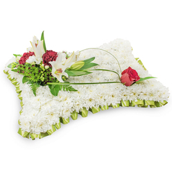 An elegantly composed funeral pillow of white chrysanthemums, presented on a pure white background so every texture and colour reads plainly and calmly. Hundreds of tiny, tight chrysanthemum blooms have been set closely together to form a seamless rectangular cushion with a soft, tactile appearance-like a field of snow-petals-and edged all the way around with a neatly pleated, pale lime-green satin ribbon that provides a subdued, restorative accent. On the upper left, a considered cluster of flowers becomes the arrangement's emotional centre: two pristine white Oriental lilies with open faces and visible yellow stamens, accompanied by a poised closed lily bud; interspersed are clusters of deep burgundy spray carnations whose darker tones catch the eye and enrich the composition. Verdant foliage-feathery ferns, broad glossy leaves and sprigs of salal-gives the cluster natural movement and a sense of depth. A thin, arching loop of green grass or decorative wire extends from that cluster across the cushion to the right, where it cradles a solitary deep-red rosebud, its velvety petals just beginning to roll open like a quiet breath. The gentle green ribbon, the serene white cushion and the single red bud together create a language of condolence and enduring affection. As a local florist serving New Barnet and nearby Oakleigh Park, Flowers New Barnet often prepares this style of pillow for chapel services and quiet committals, where families appreciate its traditional, comforting presence.