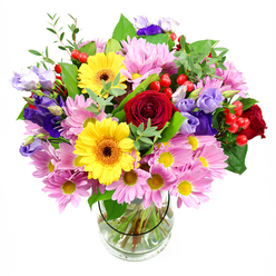 A full, uplifting bouquet in a simple glass vase is set against a pure white backdrop, allowing every flower and leaf to stand out with clarity. At the centre, richly toned red roses unfurl in velvety spirals, giving the design a classic, heartfelt core. They are ringed by radiant yellow gerbera daisies, each bloom with a warm brown-orange centre that draws the eye and adds a sunny, optimistic character. Surrounding and softening these bold shapes are clusters of pale pink daisies or chrysanthemums, their many slender petals and small yellow eyes creating a gentle, cloud-like halo. Between them, stems of lisianthus in shades of purple and soft lavender curve gracefully, their bell-shaped flowers lending an air of quiet sophistication and cool contrast to the warmer hues. Small sprays of round, bright red hypericum berries peek out between the petals, adding a tactile, almost berry-patch charm. The arrangement is laced with mixed green foliage-some leaves broad and glossy, others finer and lighter in tone-giving the bouquet a sense of movement and natural rhythm. Through the transparent glass vase, you can see the tidy green stems and clear water, evidence of careful preparation and freshness. The overall effect is one of joyous celebration, as if this arrangement were just delivered to a house near Victoria Park or a studio off Station Road in New Barnet for a special gathering. It feels perfectly suited to mark anniversaries, say congratulations, or simply brighten a grey afternoon with a splash of colour and life.