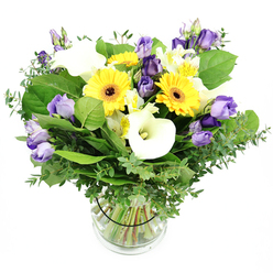 Bright and uplifting, this bouquet feels like a sunny invitation from a New Barnet florist who knows how to balance celebration with grace. The design centers on eye-catching yellow Gerbera daisies, their large heads radiating warmth and optimism, paired with the creamy elegance of Calla lilies whose smooth, buttery petals invite a gentle touch. Among them, deep purple Lisianthus provide a sophisticated counterpoint, their fluted edges and velvet tones weaving depth through the arrangement. The flowers sit on a lush field of greenery-a glossy base of broad leaves with sprigs of eucalyptus that lend a soft aroma and a sense of natural abundance. Presented in a clear vase, the stems appear artfully arranged yet effortless, as if gathered from a sun-dappled corner of New Barnet's own gardens. The white backdrop emphasizes the bouquet's clean lines and bright color play, while the slender stems sit neatly in water, their green cores visible through the glass. Whether it's a birthday, an anniversary, or a spontaneous gesture of warmth, this bouquet embodies universal cheer and seasonal charm. It would be right at home on a kitchen table in Whetstone or by a windowsill in Friern Barnet, bringing a lift to any room. As a local florist serving New Barnet and surrounding streets, I'd suggest it's available for same-day delivery across town, ready to bring sunshine to someone's day and remind them how much they're valued.