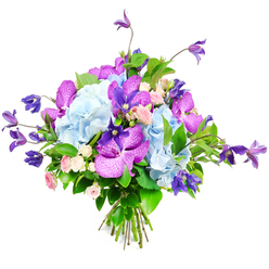 A richly textured bouquet is shown against a bright white backdrop, every stem carefully placed to create a sense of abundant, effortless luxury. Large clusters of pale, cloud-like blue hydrangeas form the main body of the arrangement, their countless delicate petals folding into one another to create pillowy mounds of colour. Between them, striking fuchsia and velvety purple orchids, similar to Vanda or Phalaenopsis, draw the eye with their bold hues and intricate patterns, like tiny brushstrokes of darker violet scattered across each petal. Rising among these are deep purple clematis blooms on slender, slightly arching stems, some opening into star shapes, others curving downward like little bells, adding movement and a hint of wild woodland growth. Small, perfectly formed spray roses in shades of blush pink and creamy white tuck themselves between the larger flowers, softening the overall look and lending a gentle, romantic air that would suit an intimate celebration in a New Barnet townhouse or a cosy café near the station. A generous collar of lush greenery-broad, shiny leaves mixed with lighter, more feathery foliage-frames the blossoms, enhancing the cool palette and giving the bouquet a full, rounded silhouette. The stems are gathered tightly at the bottom and tied, suggesting a freshly made hand-tied design ready for local delivery across New Barnet and the surrounding streets. Bathed in clear, even light, the bouquet feels modern yet timeless, perfect for anniversaries, thoughtful thank-you gifts, or simply bringing a sense of calm, refined beauty into a home.
