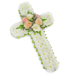 A serene floral cross for a funeral or memorial is pictured against a spotless white backdrop, the subtle shadow gently lifting it from the surface so that it appears almost to float. The cross itself is completely enrobed in small white button chrysanthemums, each bloom tightly nestled next to the next until the entire form becomes a soft, velvety expanse of white. This dense cushion of petals follows the traditional Latin cross shape with great precision, from the broad arms to the longer lower stem, evoking a sense of purity, innocence, and spiritual calm. Just visible beneath the flowers, along the outer contour, runs a fine lime green ribbon that frames the cross with a delicate edge of colour, similar to the lively greens you might notice along the pavements around New Barnet station after rain. This fresh green border provides both structure and contrast, ensuring the silhouette remains clear even from a distance. At the intersection of the cross, a carefully arranged cluster of roses forms a heartfelt focal point. Open blooms in soft pink, pale apricot, and creamy white are woven together with light, feathery fern fronds and small stems of lavender-hued filler flowers, adding dimension and gentle movement. The roses lend warmth and tenderness to the design, echoing the emotions of remembrance and love. The overall impression is of a thoughtfully composed sympathy tribute that could be placed near the altar of a local New Barnet church or beside the casket at a crematorium chapel, expressing quiet faith, respect, and solace for grieving family and friends.