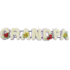 The image shows a carefully composed funeral flower tribute spelling GRANDPA in large, upright block letters, arranged in a horizontal line against a simple white backdrop. Each letter is completely covered with tightly clustered white chrysanthemums, their small, rounded petals overlapping to form a soft, cushiony surface that looks both plush and peaceful. Around the outer edge of every letter runs a narrow trim of lavender or soft purple ribbon, adding a gentle halo of colour and helping the lettering stand out clearly, much like a name carefully written on a page. In contrast to the calm white base, the florist has introduced meaningful splashes of colour. Nestled into the curve of the initial G is a compact group of deep red roses with fresh green leaves, repeated again in the rounded section of the D, echoing the same loving motif and drawing the eye along the word. The third letter, A, and the final A at the end hold elegant sprays of yellow-green orchids, their unusual shape and slight reddish markings bringing a refined, almost heirloom quality to the design. Slim, dark support bars connect the letters from behind, giving the whole piece stability for display at a service in a New Barnet church, a funeral home off Station Road, or a crematorium nearby. The arrangement feels calm, dignified, and thoughtfully balanced, the kind of personalised floral lettering a family in New Barnet might choose when they want to say goodbye to their grandpa with a tribute that is both traditional and distinctively beautiful.