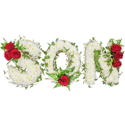 This solemn floral composition spells SON in three clear, capital letters, each letter created from a dense blanket of small, white chrysanthemum sprays forming a soft, reverent surface. The white petals give a muted cream-to-ivory glow under soft, natural light and suggest both purity and peace. Woven through the letters are long, trailing strands of green ivy and deeper, glossy foliage that trace the contours and lend dimensional shadow, like gentle brushstrokes defining each character. Rich, deep-red roses punctuate the design with deliberate tenderness: three roses tuck into the upper left curve of the S; a single, proud red rose sits at the base of the O, cradled by delicate fern fronds; and another grouping of three roses runs down the right-hand side of the N, creating vertical emphasis. The arrangement sits on a bright white background which sharpens contrasts so the red stands out vividly against the white and green. Up close you can imagine the soft, slightly green-sweet scent of chrysanthemum blending with the warm, velvety perfume of roses - a comforting, solemn combination. As a crafted memorial piece intended for funeral services or a graveside tribute, it communicates love, respect and enduring remembrance. A family might choose this design when they want a personal, readable tribute for a son - simple in palette but rich in texture and feeling, made to be both seen from afar and appreciated up close for its careful floral workmanship.