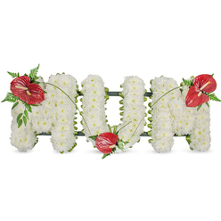 This floral tribute captures the hush of remembrance, spelling the letters MUM in sculpted, freestanding form against a clean white field. Each capital is composed of hundreds of small, snow-white spray chrysanthemums, chosen for their fullness and gentle texture; packed tightly they create a soft, pillowy surface that invites a quiet, contemplative gaze. A tastefully concealed dark green framework traces the outlines beneath the blooms, providing strength and subtle contrast where the foliage peeks through. Three vivid red anthuriums - their glossy heart-shaped spathes and pale yellow/white spadices unmistakable - are arranged as focal accents: one on the upper left of the first 'M', a second tucked into the lower curve of the 'U', and the third positioned on the upper right of the final 'M'. Each anthurium is framed by delicate fern fronds and broader green leaves, while thin arching stems or blades of grass weave between the letters, gently linking the red blooms and adding flow. In soft, natural daylight the whites glow quietly and the reds read as warm, tender markers of love. This arrangement is conceived for sympathy and memorial use-suited to a chapel, funeral home or graveside service in and around New Barnet, Brunswick Park and East Barnet-offering a traditional and heartfelt tribute to a beloved mother, crafted with care and respect.