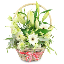 A light natural wicker basket, the colour of warm toast, sits centred against a bright white backdrop, its handle arching gently over a generous bed of white and green flowers. Around the lower rim, a nostalgic red and white gingham ribbon is tied into a crisp, symmetrical bow, evoking cosy kitchens and relaxed weekends in New Barnet and the surrounding leafy streets. The floral arrangement inside feels both carefully composed and wonderfully natural. Slim stems of lily buds, creamy white with a hint of soft green, rise above the other blooms, some just cracking open to reveal their inner petals, promising a slow, elegant unfolding of fragrance. Beneath them, open white Gerbera daisies with striking dark centres provide clean, graphic circles of colour, their daisy-like faces turned outward as if smiling. Among them are clusters of lisianthus in soft white and pale green, their layered petals resembling miniature roses, tucked in to create a sense of movement and gentle fullness. A single trumpet-shaped white calla lily draws the eye with its smooth, sculpted form, adding a modern accent beside more traditional blossoms. Fine, spiky white and green chrysanthemums act as delicate fillers, blending seamlessly into a backdrop of foliage. The greenery itself is varied and lush: rounded eucalyptus leaves with a silvery-blue cast, variegated leaves edged in creamy white, and broad, deep green leaves that provide contrast and structure. Together they create a refreshing, calming palette, perfect for marking an anniversary dinner at home in New Barnet, sending congratulations, or offering quiet support, with the whole display conveying understated elegance and genuine care.