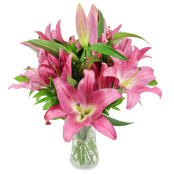 This bold yet refined lily arrangement is a study in pinks and botanical structure, photographed on a crisp white surface to emphasise every petal and curve. Dozens of large, open lilies dominate the composition, their six broad petals curving with graceful tension from deep magenta edges into softer rosy centres. The petals' surfaces hold a faint, waxy sheen that suggests fresh-cut vitality under cool studio light. At each blossom's core, chartreuse-yellow throats graduate into creamy tones while dark maroon stamens tipped with golden pollen punctuate the flowers with dramatic contrast. Interspersed among the open flowers are several elongated buds - from tight, pale-pink spears to plumper, fuchsia-tipped sprouts with hints of green - promising staged unfolding and several days more bloom. Strong, upright stems and abundant, lance-like green leaves provide a textured, leafy backdrop that grounds the bouquet and adds depth when seen through the clear glass vase. The vase's transparency reveals trimmed stems and clean water, a small, honest detail that speaks to careful floral craft. The image reads like a studio portrait of spring: lively, elegant, and quietly fragrant. As a local florist's piece, it would suit a bedside table in a New Barnet flat or a thoughtful birthday delivery for someone on East Barnet Road, offering a bright, lasting gesture that celebrates both colour and form.