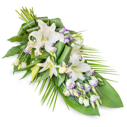 A serene funeral spray of white lilies and lisianthus is arranged on a pure white background, captured diagonally so the flowers appear to flow from a fuller top-left cluster to a slender, tapering tip at the lower right, like a soft farewell gesture. The central white oriental lilies are impressive yet gentle, their broad, silky petals unfurling to reveal pale yellow-green stamens, while several partially opened buds suggest a life remembered with tenderness. Around them, smaller lisianthus blooms in white with faint lavender and lilac edging drift between the larger flowers, like quiet echoes of colour, accompanied by numerous tight buds that lend depth and a sense of unfolding time. The foliage is lush and thoughtfully layered: dark, glossy leaves cradle the blooms, some carefully folded and curled into graceful arcs, while long, slim green fronds sweep outwards, guiding the eye along the length of the spray. Every leaf surface seems to hold a soft sheen, as though freshly misted, reminiscent of an early morning walk through the gardens off Lyonsdown Road or near New Barnet station. The overall composition feels cool, composed and reflective, with a balance of classic floristry and contemporary detail that a local florist in New Barnet would create for a meaningful tribute. This arrangement is ideal for resting on a casket, adorning a memorial table, or being placed beside a photograph at a wake, offering a gentle expression of sympathy and remembrance for families gathering in and around New Barnet.