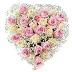 In this visually arresting New Barnet floral heart arrangement, masterful artistry reveals itself in every detail. Soft pink and creamy white roses are woven tightly together, their petals velvety and luminous - each variety chosen for its freshness and subtle fragrance. Among these blooms, fine sprays of baby's breath meander gracefully, lending a delicate, airy lightness like the morning mist over Barnet's green spaces. The roses are at various stages of bloom, some gently furled, others opening wide with an inviting softness. The pristine white background draws the eye to the arrangement's classic heart silhouette, where tender hues melt into one another in a harmonious blend. Light falls evenly across the composition, highlighting the dew-kissed petals and lending a sense of closeness and compassion. Crafted by local hands with an understanding of the emotional resonance this tribute holds, the floral heart offers solace and beauty for remembrance, memorials, or simply to honour a lasting bond within the New Barnet community. It feels both timeless and intensely personal, reflecting the care of New Barnet's best florists.