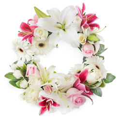 Displayed on a clean white backdrop, this circular sympathy wreath forms an open ring of blooms, a calm, continuous circle symbolising ongoing love and remembrance. Large white lilies dominate the design, their satin-like petals spread wide, revealing soft golden stamens and pale green centres that catch the light as if they were gently lit in a chapel in New Barnet. Interwoven among them are deep magenta and fuchsia lilies, their star-shaped flowers often dusted with speckles, offering a confident yet respectful splash of colour that feels both modern and reverent. Bright white gerbera daisies with dark, velvety centres dot the wreath, their neat, layered petals adding a sense of freshness and quiet optimism. Between the larger blooms, light pink roses appear in varying stages of opening, from tender buds to half-open cup-shaped flowers, evoking affection, admiration, and soft-spoken farewells. Creamy white roses provide volume and a classic funeral flower feel, with their many petals forming intricate spirals. Smaller white accent flowers, perhaps tiny carnations or spray chrysanthemums, are carefully placed to fill the spaces and create a rich, full texture. A collar of varied green foliage encircles the wreath, giving depth and structure without overwhelming the delicate palette. The overall impression is of a respectfully lush, handcrafted tribute that could be delivered to a memorial service in Hadley, a funeral home near New Barnet station, or a quiet family gathering, offering comfort, grace, and a gentle touch of beauty in a time of loss.