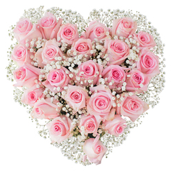 Framed against a pristine white backdrop, this perfectly formed heart of blush roses feels like a tactile promise: dozens of pastel-pink blooms pressed close so their velvety petals create a continuous, sumptuous surface. The roses vary gently in tone from the palest pink at the petal tips to a slightly deeper, warm pink in the buds' centers; some are tight, others beginning to unfurl, showing layered spirals of petals that add movement and softness to the heart. Interwoven among them, fine sprays of white gypsophila - delicate baby's breath - act like airy lace, their tiny blossoms catching the studio light and lifting the overall composition with a cloud-like texture. The bright, even lighting highlights the fresh sheen on each petal and the careful symmetry of the arrangement, while the close packing of flowers creates quiet shadows that give the heart depth and presence. The bouquet reads as a tender declaration, perfect for romantic gestures, anniversaries, or to bring calm and grace to a bedside or mantle. Imagining delivery routes familiar to local florists, this piece could be carried from a workshop near Great North Road to a flat by Victoria Recreation Ground, arriving with the gentle, subtle scent of fresh roses and the thoughtful weight of handcrafted floral care.