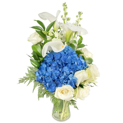 This bouquet's artistry comes from the contrast between the bold blue hydrangea cluster and the delicate white blooms that surround it, all presented in a simple clear glass vase against a white backdrop to focus the eye on texture and tone. The central mass of deep blue hydrangeas reads as velvety and substantial, a cooling visual anchor that balances the composition. Around its lower and outer edges, creamy white roses open in soft, velveteen spirals, their layered petals suggesting the familiar gentle fragrance of garden roses. Above, sculptural white calla lilies extend upward like porcelain trumpets, their smooth curves catching light and adding refined verticality. Interspersed are slim stalks of white snapdragons or stock, their small florets adding a lively, spiky contrast and a sense of motion. A generous underlayer of glossy dark green leaves - likely salal - and lighter, lacy fern fronds gives the arrangement natural depth and a soft, cascading outline. The clear glass vase reveals neatly trimmed stems and clean water, a visual reassurance of freshness and meticulous florist technique. Imagine this design arranged in a local New Barnet studio and set by a window near New Barnet station; the bouquet would read as quietly sophisticated whether intended as a condolence offering, a serene anniversary gift, or a tasteful centrepiece for a small dinner. The composition feels both modern and timeless, offering a soothing colour story that combines cool blues, pure whites, and verdant green in balanced, expert hands.