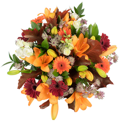 From an overhead, close perspective, this bouquet reads as a richly textured homage to autumn fields and hedgerows, masterfully balanced between fireworks of orange and grounding autumn browns. Several large, open orange lilies dominate the scene, their trumpet-like petals unfurling with elegant curves while clusters of tightly furled lily buds in pale orange and green add anticipation and three-dimensional rhythm. Bright pumpkin-orange Gerbera daisies catch the eye with their simple, joyful faces, while deep burgundy Gerberas provide weight and a velvet-like contrast. Creamy white lisianthus appear like soft clouds, their ruffled edges giving a tactile softness against the brighter blooms. Muted purple astrantia punctuates the bouquet with starry, delicate inflorescences that lend an intricate, almost botanical lace to the visual story. The foliage palette moves from fresh bright green stems that lift the composition to broad, lobed leaves in rusty mahogany and chestnut, deliberately placed to mimic maple or oak leaves freshly gather from a garden path. The overall lighting is clean and bright on a white backdrop, making textures and subtle colour shifts easily read: satin petals, papery leaf edges, and fine, feathery filler. Scent-wise, imagine a soft fragrant whisper - honeyed lilies with an earthy undertone - that suits a cosy home or a gratitude-filled gathering. This arrangement is well-suited for seasonal home décor, Thanksgiving centrepieces, or as a thoughtful present that carries the honest, comforting spirit of an English autumn walk in places like Oak Hill Park or along Station Road in New Barnet.
