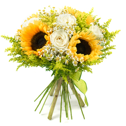 Set against a clean white backdrop, this hand-tied bouquet glows with the easy brightness of a sunny afternoon in New Barnet. Three large sunflowers dominate the centre, their deep brown, seed-packed disks ringed with layers of golden-yellow petals that seem to radiate warmth, like the sun over Victoria Park. Nestled in and around these bold blooms are creamy white roses, some fully open, others just beginning to unfurl, their tightly layered petals giving a sense of quiet luxury and softness to the composition. Tiny white, daisy-like flowers, resembling chamomile or feverfew, punctuate the bouquet with small halos of petals and yellow eyes, adding detail and a touch of wildflower charm. Wisps and sprigs of feathery lime-green foliage, similar to solidago, spread through the arrangement, creating a halo of fresh green that makes the yellows and whites stand out even more clearly. The stems are left long and natural, drawn together with care and tied securely with a narrow lime-green ribbon that hugs the base and then falls in a relaxed tail, giving a handmade, personal feel. The whole design feels like a generous armful of sunshine, thoughtfully composed by a local New Barnet florist for same-day delivery along the High Road, East Barnet, or nearby residential streets. With its mix of bold sunflower faces, gentle roses, and airy fillers, the bouquet carries a mood of celebration and gratitude, perfect for congratulating exam results, brightening a new flat, or sending a cheerful get-well wish.