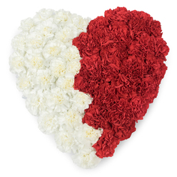 Seen from directly above, this heart-shaped composition of carnations is an exercise in contrast and careful construction, its twin halves telling two stories in one silhouette. The left half is filled with creamy white carnations-soft ivory and pearl tones whose frilled petals overlap like small waves-giving the surface a pillowy, inviting look. The right half is saturated with intense red carnations, their compact, layered heads packed so closely that the colour reads like a single, burning field. Between them runs a carved vertical border: mostly a smooth, slightly undulating divide but at one point a serrated row of triangular points that recalls national flag motifs and adds a formal, heraldic note to the piece. The plain white background isolates the heart, letting the colour and texture speak without distraction; under soft studio light the petals' subtle shadows lend depth and a gentle tactile illusion. As a florist working around New Barnet High Street, I often design pieces like this for remembrance services, civic events, or anniversary tributes - its combination of tenderness and clarity feels both consoling and resolute. The scent of carnations, a faint spicy-sweet echo, seems to hover above the arrangement, and you can picture it being laid with care near New Barnet Station or brought to a small community gathering at Brunswick Park. This composition is an intimate, expertly made emblem of affection, memory and communal pride that resonates in both personal and public moments.