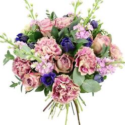 Set against a clean white backdrop, this hand-tied bouquet looks as though it has just been lifted from a florist's bench in New Barnet and placed carefully for its portrait. Full-headed garden roses in blush and antique mauve open generously at the centre, their spiralled petals conveying a quiet, timeless romance. Around them gather ruffled carnations, each bloom with a creamy, almost porcelain base that deepens to rose and fuchsia along the frilled edges, creating a soft play of light and shadow. Punctuating these gentle tones are deep indigo and royal blue flowers: a single open anemone with a velvety, midnight-dark centre stands prominently near the front, while neighbouring blue buds, tulip-like in form, lend jewel-bright contrast. Slender stems of lilac and pale lavender stock weave upward, their multiple small blossoms adding height, airiness, and a whisper of sweet scent that calls to mind a stroll through gardens near Oakhill Park in late spring. The bouquet is wrapped in a halo of foliage-rounded, silvery eucalyptus leaves mingling with darker, glossy greens-to frame the colours and give the design a fresh, natural rhythm. Visible stems at the base show the careful spiral technique used by skilled local florists, ready for a vase as soon as it is delivered to a doorstep off Lyonsdown Road or a flat near New Barnet station. The mood is soothing yet uplifting, making this arrangement ideal for birthdays, get-well wishes, or simply sending a comforting, beautiful reminder that someone is being thought of with genuine care.