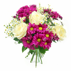 Set against a crisp, uncluttered white backdrop, this mixed flower bouquet appears freshly finished on a New Barnet workbench, every bloom carefully placed yet full of natural movement. Creamy white to pale lemon roses form the focal points, their full, spiralling petals giving a sense of quiet luxury and softness, like fine silk folded upon itself. Surrounding them, generous heads of fuchsia-magenta chrysanthemums add a vivid burst of colour, each flower with a bright yellow-green centre that glows warmly and draws the eye. Threaded through this rich colour are delicate sprays of petite white daisies, likely chamomile-style filler, with neat yellow centres and slim petals that add a countryside lightness, reminiscent of walks through Hadley Common in early summer. A few smaller chrysanthemum buds in a deeper purple-pink shade nestle between the larger blooms, adding texture and the promise of continued flowering. Fresh green foliage frames the composition, with glossy rose leaves and soft-edged mum leaves creating a verdant cushion that makes the brighter petals pop. The stems are brought together into a tidy, hand-tied base and secured with a green and white checkered ribbon that gives a homely, thoughtful finish, as if ready to be carried to a family gathering in New Barnet or delivered as a surprise to a friend near High Barnet station. Lit with bright, even light, every petal and leaf is clearly defined, emphasising the bouquet's rounded silhouette. The overall effect is one of cheerful celebration and heartfelt appreciation, ideal for marking birthdays, thank-yous, or congratulations close to home.