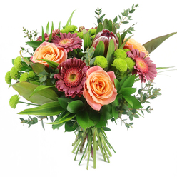 Against a clean, bright white backdrop, this hand-tied bouquet seems to float, its design reflecting the thoughtful touch of a New Barnet florist accustomed to preparing flowers for family celebrations and quiet gestures alike. At the centre, large roses bloom in a palette of peach, apricot, and salmon pink, each flower a swirl of delicately layered petals that deepen in tone toward their glowing cores. Nestled between them are generous gerbera daisies in shades of burgundy and deep magenta, their many slender petals surrounding lighter, textured centres, bringing a cheerful, graphic quality that catches the eye from across a room on Lyonsdown Road. A striking King Protea rises slightly above the surrounding flowers, its distinctive, artichoke-like head composed of sturdy maroon and reddish-brown bracts tipped with soft blush, lending a sculptural, almost artistic focal point. Clusters of lime-green Santini chrysanthemums are tucked among the larger blooms, their rounded, button-like faces adding a playful, tactile element and a refreshing pop of colour. The composition is enriched by layers of foliage: broad, dark green leaves create a solid base, slender blade-like leaves add height and rhythm, and delicate eucalyptus sprigs with rounded bluish-green leaves soften the outline and suggest a hint of cool, herbal scent. The stems are bundled neatly at the bottom, clearly showing the traditional hand-tied craftsmanship. Balanced and full without feeling heavy, this bouquet conveys a sense of joyful sophistication, perfect for same-day delivery across New Barnet when you want to send congratulations, express thanks, or brighten someone's home with a thoughtfully composed piece of floral art.