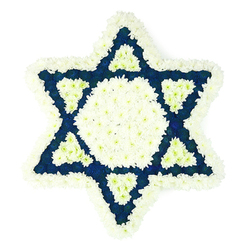 A meticulously arranged Star of David sympathy tribute dominates a clean white background, its precise floral geometry standing out with striking clarity. The entire six-pointed star is edged with a soft, cloud-like border of white chrysanthemums, each small petal layered over the next to create a pillowed, comforting frame. Within this border, the central hexagon glows with the same pure white flowers, giving the heart of the star a peaceful, almost luminous feel, as if lit from within. Around this centre, six strong triangular arms of dark blue to indigo blossoms extend towards each tip of the star, the rich colour reminiscent of midnight skies or deep ceremonial fabrics often seen at Jewish services. Nestled at the base of each blue arm, just before it meets the central hexagon, a neat inset triangle of white blooms has been placed, forming an intricate interplay of light and dark that reinforces the iconic Magen David pattern. The flowers are packed so neatly that the tribute appears almost sculpted, yet the texture remains soft and touchable. There are no distractions in the background, allowing full attention to the symbolism: a Jewish funeral or memorial piece designed to convey respect, solace, and faith. One can imagine this arrangement resting beside a coffin or memorial photograph at a New Barnet chapel or home during shiva, delivered by a nearby florist with an understanding of Jewish mourning traditions and the quiet comfort that classic white-and-blue flowers bring to families across the local area.