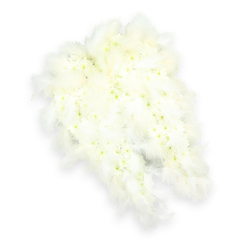An elegant angel-wing floral tribute in soft, immaculate white is displayed on a crisp white background, its wings stretching out in a quiet gesture of protection and farewell. Each wing is formed from a dense layer of small white flowers, probably button chrysanthemums or petite carnations, pressed so closely together that they create a smooth, cushioned surface. Here and there, the flower centres reveal a delicate blush of pale green and buttery yellow, subtle tones that keep the design from feeling stark and instead lend it a gentle, living warmth. Around the outer edges, fine white feathers are arranged in overlapping layers, like soft down gathered from an angel's robe. The feathers curl slightly at their tips, giving the composition movement and a sense that the wings could almost stir the still air over New Barnet's quiet streets. The lighting is bright yet tender, highlighting the texture of each petal and feather while casting only the lightest of shadows beneath, adding depth without disturbing the stillness. This arrangement evokes the tranquil atmosphere of a reflective walk past St Mary's churchyard or through the peaceful corners of Oak Hill Park, where memories feel close and time seems to slow. Created as a funeral or memorial tribute, it speaks of innocence, serenity, and a graceful journey onward. The angel-wing shape, combined with the all-white palette, makes this a deeply symbolic choice for families in New Barnet wishing to send a much-loved soul off with purity, blessings, and a sense of comforting guardianship.