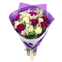 A richly coloured, round hand-tied bouquet is shown upright against a clean white backdrop, its composition carefully arranged so every flower seems to lean toward the viewer. Elegant cream-white roses form soft, domed peaks, their petals smooth and cool-looking, suggesting that freshly cut, early-morning feel you might notice walking past front gardens near East Barnet Road. Nestled beside them, deep magenta and fuchsia carnations add rhythm and depth, their densely ruffled petals creating little pockets of shadow that intensify the colour. Slender white alstroemeria blooms weave through the design, each petal lightly streaked with pinkish-red and marked by dark central stamens, as if painted with a fine brush. The greenery is deliberately varied: broad glossy leaves, lighter variegated foliage, and occasional smaller sprigs are layered to frame the flowers, giving the bouquet fullness and a natural, almost woodland character. All the stems taper downwards to a neatly gathered base, encircled by a crisp white layer of floral paper that forms a neat collar. Over this sits a translucent wrapping of crinkled purple cellophane or tissue, folded in angular pleats that catch and diffuse light, surrounding the blooms in a halo of violet. A vivid, iridescent lime-green satin ribbon is tied securely around the stems in a tidy bow, with a small pale brown rectangular tag dangling ready for a short message. The overall mood is confident and celebratory, as though this design has just been prepared by a New Barnet florist for delivery to mark a promotion, a thank-you, or a new home, offering a blend of modern vibrancy and gentle elegance.