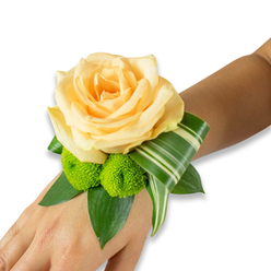 Resting gently on a New Barnet wrist and photographed against a bright white backdrop, this wrist corsage centers on a richly hued peach-apricot rose whose petals unfold in silky, translucent layers. The rose is the focal point - its warmth and tender form invite a fingertip to linger - while two lime-green button chrysanthemums nestle below, their compact, spherical blooms bringing a cheerful, almost effervescent textural counterpoint. A cushion of glossy, dark green leaves - likely salal or ruscus - provides a structured base and visual weight, while a long variegated Ti- or Dracaena-like leaf, striped with cream and deep green, is artfully folded into a sweeping arc that modernises the composition and guides the eye along the wrist. The floral mechanics are discreet: the band or ribbon fastening is concealed so the craftsmanship reads as seamless. Worn on the inner forearm, the corsage casts soft shadows on the skin under gentle lighting, and you can almost sense the faint fragrance of rose combined with the fresh green aroma of cut foliage. As an experienced florist in New Barnet, I compose pieces like this for weddings, prom nights, and garden parties near Monken Hadley Common and Brunswick Park; Flowers New Barnet hand-ties each detail to ensure freshness and balanced scale. The color story - peach, lime, and deep greens - feels celebratory and poised, an elegant accent that's both wearable and photographically beautiful for formal portraits or candid moments near the station or local parks.