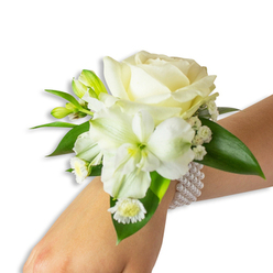 Handcrafted with an attentive florist's eye, this elegant white wrist corsage rests on pale skin against a pristine white backdrop, each bloom positioned for both visual balance and tactile grace. The composition centres on a creamy ivory rose, its petals layered like satin and lifting gently from the middle in a poised, full bloom. Slightly lower and to the left, a large trumpet-shaped white Alstroemeria-style flower unfurls with a subtle lime-green throat that draws the eye inward and adds a cool, botanical contrast. Scattered throughout are feathery sprays of Baby's Breath (Gypsophila), providing a soft, cloud-like texture, while a cluster of small daisy-like white florets with bright yellow centres punctuates the lower edge with a dainty sparkle. Several bright green buds - some tightly closed - hint at the corsage's fresh-picked provenance and a promise of unfolding life. Deep, waxy green leaves with broad surfaces frame the arrangement and give it a verdant backbone against the white flowers. The wrist is encircled by a refined multi-strand pearl bracelet whose lustrous beads sit cool and smooth under the blooms, anchoring the design with classic glamour. Prepared by Flowers New Barnet with an eye to local tastes, this floral wristlet evokes the soft scent of early morning petals and feels perfectly suited to weddings and proms across New Barnet, from Station Road to Brunswick Park; it is both an adornment and a small keepsake of the occasion.