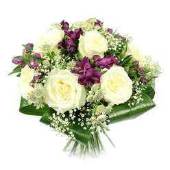 A refined mixed bouquet is presented against a crisp white background, as though resting on a spotless counter in a New Barnet florist's studio. The arrangement has a rounded, compact silhouette, led by an abundance of creamy white roses at the very center. Six to eight large roses are fully unfurled, their petals spiralling inward with a classic, romantic grace. The creamy tones are soft and luminous, suggesting both purity and comfort, like a calm pause in the middle of a busy day on Station Road or near New Barnet station. Weaving between the roses are striking stems of deep purple and magenta alstroemeria, also known as Peruvian lilies. Their elongated, trumpet-shaped flowers introduce a rich, jewel-like accent that lifts the pale roses and adds visual depth. Some blooms show their patterned throats and delicate striping, while nearby buds are still tightly closed, hinting at days of beauty yet to unfold. Wisps of white baby's breath (Gypsophila) float lightly throughout the bouquet, their tiny, clouded blossoms softening transitions between the larger flowers and adding a dreamy, ethereal texture. Nestled among them are subtle heads of green-white astrantia, with pincushion centers and star-shaped bracts that lend gentle, woodland charm reminiscent of walks through local green spaces like Tudor Park and Hadley Common. The flowers are securely framed by broad, lustrous dark green leaves, likely Aspidistra, which have been carefully folded to create a polished collar. Their smooth, slightly curved surfaces cup the arrangement, emphasizing its hand-tied craftsmanship. Neatly gathered stems peek out at the base, reinforcing the impression of a freshly prepared bouquet. The overall effect is one of quiet elegance and composed emotion, ideal for sending sympathy, congratulations, or sincere thanks to loved ones across New Barnet and the surrounding neighbourhoods.