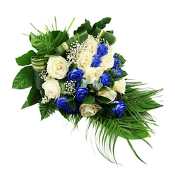 A graceful teardrop funeral spray composed of blue and white roses stretches diagonally across a clean white background, giving the impression of movement and gentle flow. The central focus is a generous cluster of fully opened roses, their petals soft and velvety. Around half are an intense sapphire blue, rich and saturated, while the remaining blooms are creamy white and ivory, creating a soothing, almost serene contrast. The roses are woven together with care so the colours alternate naturally, much like the balanced, tree-lined avenues around New Barnet. Threaded delicately among the larger flowers, airy stems of white baby's breath introduce fine, cloud-like tufts that lighten the design and add intricate detail when viewed up close. Encircling this heart of roses, layers of fresh greenery provide depth and structure. At the top left, broad, glossy leaves and feathery ferns fan out, suggesting growth and continuity. From the lower right, long, slender palm fronds cascade in a soft arc, shaping the spray into a flowing crescent that feels both formal and gently organic. Small hints of bluish-green, eucalyptus-style foliage break up the darker greens, lending a subtle, misty tone. Woven through the foliage, wide, variegated bands of green and cream leaves or ribbon form neat, horizontal loops that give the arrangement a polished, professional finish. This is a dignified memorial piece, the kind of design New Barnet families might choose to express sympathy, remembrance, and enduring love at a funeral or celebration of life, its blue and white palette suggesting peace, loyalty, and a quiet sense of hope.