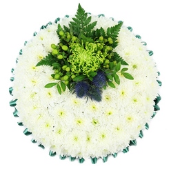 A beautifully composed circular funeral cushion is shown from directly above, filling the frame with a calm blend of white, green, and soft blue, much like the gentle atmosphere at a memorial service in New Barnet. The base of the arrangement is a dense carpet of white chrysanthemums, likely spray or cushion varieties, each blossom closely nestled against the next so that no gaps are visible. Their fine, layered petals create a plush, velvety texture, while the pale yellow-green centres lend a hint of warmth to the otherwise snowy surface. Framing this cushion is a neatly pleated band of emerald green satin ribbon, its sheen catching the light and forming a scalloped border that subtly echoes traditional funeral tributes often delivered to services around New Barnet, Hadley Wood, and along Barnet High Street. At the centre, a vibrant cluster of green flowers and foliage draws the eye. A bright lime spider chrysanthemum explodes outward with slender, curling petals, surrounded by clusters of glossy, apple-green Hypericum berries and rich, dark green leaves. Delicate fern fronds add feathery movement, softening the structure. Tucked among this greenery are two round Scottish thistles, their spiky texture and dusty indigo-blue tones offering a striking contrast to the softness of the chrysanthemums. Their presence hints at a personal or cultural connection, perhaps chosen in memory of a loved one with Scottish heritage. The overall effect is one of quiet dignity and solace, an elegant sympathy tribute that would sit gracefully by a coffin, at a chapel of rest, or at a cemetery in and around New Barnet, expressing condolences with calm beauty and thoughtful detail.