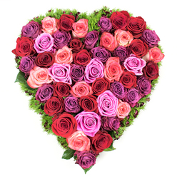From an aerial viewpoint this heart-shaped composition reads as an intimate tapestry of roses, each bloom pressed close to its neighbour to create an unbroken field of colour and texture. The arrangement balances passionate tones-deep crimson, wine-like burgundy and true reds-with softer, consoling hues of blush pink, coral blush and lively fuchsia, while lavender and mauve roses add a cool, contemplative counterpoint and occasional plum petals deepen the overall mood. Every rose is fresh and fully formed, petals velvety to the touch and layered in tight spirals that glow under soft daylight. A slender halo of fine, dark green foliage or moss traces the heart's edge, its bristly texture offering contrast and the faint green scent of freshly cut stems. The piece reads equally as a romantic gesture, an anniversary centrepiece, or a respectful memorial tribute at a funeral-its dense construction and balanced colour shifts communicating love, remembrance and solace. As a local florist I imagine this arriving on Station Road, placed near New Barnet station, or adorning a mantel in homes around Oakleigh Park and the surrounding roads. Flowers New Barnet prepares and packs blooms with that neighbourhood care, ensuring the heart keeps its shape and fragrance in transit. The overall effect is tender and composed: a tactile, scent-rich symbol of devotion that looks deliberate from afar and rewards the eye and hand up close.