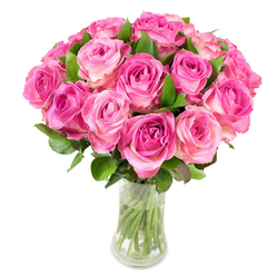 This visually rich bouquet of approximately two dozen pink roses sits in a gently curved clear glass vase on a pristine white field, each bloom forming part of a lush, rounded dome. At the heart of every rose the colour is intense - deep fuchsia or magenta - then softens through layers of petals to a delicate blush and sometimes a touch of creamy white at the very edges. The petals are softly ruffled and layered, catching bright, even studio light so that their velvety texture and subtle translucence are unmistakable. Interspersed between the flower heads, deep green leaves add structure and a cool counterpoint, while the trimmed stems visible through the transparent water underline the freshness of each cut flower.

Viewed as a local floral design, this arrangement embodies a timeless expression of affection-ideal for anniversaries, a thoughtful gesture on Mother's Day, or to mark a birthday. If you know New Barnet, picture this on a sill near Station Road or arriving as a small surprise for someone stepping out at New Barnet station: its perfume would be light and fruity, lifting memories of early summer gardens. As a florist in the area, Flowers New Barnet often leans on this simple, refined silhouette when a message of sincere warmth and celebration is needed.

Subtle and confident in its craftsmanship, the bouquet balances colour, texture and form in a way that feels both modern and enduring, an arrangement meant to be both seen and remembered.