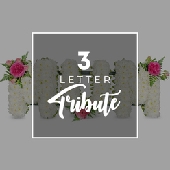 Set against a smooth, light grey background, this image showcases a lovingly made three-letter funeral tribute spelling "MUM," presented within a clean white rectangular frame that draws the eye to the flowers. Each letter is densely covered in small white chrysanthemum blooms, packed so closely that they form a plush, cloud-like surface, their tiny petals creating a rippled texture that feels calm and orderly. At the top left of the first "M," a flourish of vivid pink garden roses, paler pink spray roses, and airy green fern fronds adds a warm burst of colour, much like the seasonal flowers you might see in New Barnet's residential streets in late spring. The centre "U" remains mostly pure white, with a single soft pink rose resting near its lower curve, a quiet, symbolic focal point that reads as a personal gesture of remembrance. The final "M" echoes the first, with a matching spray of bright fuchsia roses and rosebuds on its upper right side, creating a gentle visual rhythm from left to right that speaks of balance and care. Superimposed over the central part of the arrangement, inside the white frame, bold white lettering states "3 LETTER" in a modern sans-serif typeface, while the word "Tribute" is written below in a graceful script, making it clear this is a bespoke memorial design. At the extremes of the composition, faint glimpses of other white chrysanthemum letters with pink rose accents suggest that additional names or words can be formed, perhaps for funerals and memorials held around New Barnet, East Barnet, or Oakleigh Park. The composition feels peaceful and respectful, the kind of custom tribute a local florist would prepare to help a family say goodbye with dignity and tenderness.