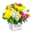This image shows a joyful, dome-shaped bouquet of fresh flowers arranged in a sleek white square box, placed against a clean white background so that the colours appear vivid and unbroken. The bouquet feels like a concentrated burst of sunshine and garden colour, the kind of arrangement you might receive in New Barnet to celebrate a special milestone or simply to brighten a grey afternoon. Dominating the composition are warm yellow blooms: plump yellow roses, many still in bud and clustered closely together, and large, full-bodied chrysanthemums whose countless petals form soft, rounded mounds. These golden tones are balanced by a generous scattering of white flowers. Small white daisy chrysanthemums with distinct green centres bring a simple, almost countryside charm, while larger white chrysanthemums add volume and a plush, downy texture. Running through these softer shades are bold streaks of fuchsia and magenta from richly coloured chrysanthemums, some petals deep and velvety, others tipped with hints of lighter pink. Their presence adds a sense of playful contrast and modern flair, like colourful shopfronts along the streets near New Barnet station. Tucked between the bigger heads, you can notice smaller rosebuds in pink and additional yellow, suggesting blooms that will unfold over the coming days. All of this rests on a bed of lush dark green foliage whose smooth, glossy leaves create a cool backdrop and frame the base of the arrangement. The white cube container has a modern, gift-box feel, making the design well-suited as an affordable but impressive present, ideal for birthdays, thank-you surprises, or last-minute same-day flower delivery around New Barnet and nearby areas.