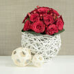 A compact cluster of red roses forms a rounded bouquet that feels both deliberate and deeply romantic, as if arranged for a candlelit wedding supper in a New Barnet home. The blooms vary in openness, some still cupped and shy, others fully expanded so their velvety petals spill outward in lush, layered spirals. Threaded between them are small, shiny red berries, probably hypericum, which catch the light and introduce a playful rhythm among the more formal roses. Around the base runs a ring of dark green leaves, their surfaces slightly glossy, adding a cool, natural contrast that intensifies the rich crimson above. The flowers are gathered into a distinctive white vase built from slender, intertwining strips that curl and weave into an open, nest-like structure, giving the arrangement a sculptural, contemporary feel you might expect to see in a boutique just off Station Road. In front of the vase, two decorative balls made from pale, cream wood ribbons rest at an angle, one larger, one smaller, echoing the same woven, airy pattern and drawing the eye gently across the scene. The background is a warm, slightly textured beige, reminiscent of fine linen or soft wallpaper in a Barnet sitting room, ensuring that the reds and whites stand out clearly. The lighting is even and gentle, with no harsh shadows, so the roses appear almost touchable, inviting you to imagine their subtle fragrance. It is an arrangement that suggests devotion and care, perfectly suited to bridal tables, anniversary dinners, or romantic gestures delivered across New Barnet and the surrounding streets.