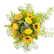 This sun-drenched bouquet, crafted in New Barnet, radiates warmth and optimism like a walk through leafy local parks at golden hour. Bright yellow sunflowers, each with a bold, dark chocolate centre, stand proud and energetic at the arrangement's core, flanked by buttery roses with velvety petals softly spiralling outwards. Pops of orange-red hypericum berries nestle amidst the larger flowers, catching the light and adding playful contrast. Wisps of blue-green eucalyptus and a variety of bright green foliage create rich texture and subtle movement, while airy Asparagus fern fronds extend gracefully from the bouquet's edges, imparting a starburst effect that feels both modern and effortlessly natural. The depth of colour-from glowing yellows to lively oranges and cool greens-captures the vitality of local gardens along Meadway or Brunswick Park Road. There's a tactile richness to the arrangement: the suede touch of rose petals, the slightly leathery greenery, and the soft, feathery ferns combine for a multisensory experience. The mood is one of celebration and gratitude, ideal for birthdays, thank-yous, or simply brightening up a grey day in New Barnet. Presented with care and genuine artistry, this arrangement is a reminder of nature's exuberance, layered in fragrance, colour, and heartfelt intention.