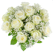 A serene, hand-tied bouquet of roughly 15-20 creamy white roses set against a seamless white background, each rose varying from tight bud to a soft, partially opened bloom. The petals are satiny and pale, with the subtlest hint of green along the outer guard petals that signals recent cutting; between the larger rose heads, clouds of tiny white gypsophila-baby's breath-float like frosted snow, their star-like florets lending an airy, lace-like texture. Fresh, mid-green rose foliage peeks through the dome-shaped arrangement, framing the blossoms and providing a cool, leafy contrast that makes the whites appear almost luminous under the studio's high-key light. The composition is compact and symmetrical, a classic rounded silhouette that reads as both joyful and reverent, suitable for weddings, anniversaries, or a comforting sympathy tribute. If you imagine taking this bouquet into the early morning air of New Barnet-passing New Barnet station or pausing near Oak Hill Park-the gentle perfume of velvety petals would mingle with cool garden air, creating a soft, uplifting scent that feels like a quiet promise. The texture is tactile in description: the roses' smooth, layered petals, the feathery clusters of gypsophila, and the crisp stems beneath, all arranged with careful balance so each bloom breathes within the whole. This photograph, with its clean background and even lighting, highlights the florist's craft and the pristine freshness of each stem, communicating purity, grace, and a tender invitation to pause and remember.