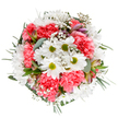 Bursting with the vibrant spirit of spring in New Barnet, this expertly crafted bouquet captures the essence of renewal and heartfelt celebration. Viewed from above, bright white daisies with golden-green centres beam amidst plush coral-pink carnations, whose ruffled petals and sunny shade bring an inviting softness-echoing the warmth of New Barnet's close-knit community. Airy clusters of baby's breath dance lightly over the arrangement, like tiny stars caught in the glow of an early morning along the high street, enhancing both fullness and a feeling of weightlessness. Subtle accents of blush-tinged alstroemeria and the fresh, silvery texture of eucalyptus leaves intertwine between blossoms, adding layers of natural fragrance and delicate visual interest. Trim frameworks of darker greenery provide rich contrast, encircling the round composition with a gentle embrace. Every detail, from the feathery textures to the harmonious palette, has been thoughtfully curated by seasoned New Barnet florists to convey optimism, gratitude, and shared happiness. Ideal for marking life's milestones-from birthdays near Oakleigh Park to simple acts of kindness on Leicester Road-this bouquet radiates uplifting energy and quiet sophistication. The entire arrangement, set against a pristine white background, shines with freshness and care, making it a perfect choice for gift delivery or editorial features celebrating the beauty and abundant joy of New Barnet's local blooms.