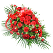 A richly detailed red casket spray unfolds across a white background, its elongated, tapered form suggesting a gentle arc of farewell, as if prepared for a New Barnet family saying a final goodbye. At the heart of the arrangement, deep red roses cluster together, some buds still cupped and others fully open, displaying lush, velvety petals that create a sense of luxury and tenderness. Around them, layers of red carnations add fullness and a soft, ruffled texture, their many small petals creating a rich tapestry of colour. Bright red gerbera daisies, with their open, round faces and slightly darker centres, punctuate the composition, bringing a contemporary, almost sun-like glow to the piece. Delicate touches of white filler flowers, likely dainty baby's breath or tiny chrysanthemums, are tucked between the red blooms, offering moments of light and air that keep the spray from feeling too heavy. Near the top, a broad red satin ribbon is tied into a generous bow, its shiny loops and flowing tails winding down among the blooms like a ribbon of memory. All of this rests on a bed of lush green foliage: long, arching palm fronds extend from the base and sides, while glossy leaves and fine fern fronds fill the interior, creating a full, layered effect. Viewed from one primary side, the design is clearly meant to lie along a casket or be placed at the front of a service in New Barnet, perhaps near Barnet High Street or close to local chapels, expressing love, respect, and a solemn yet warm farewell.