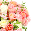 This image portrays a lavish, tightly gathered bouquet of roses and carnations, showcased against a clean white background that enhances its serene pastel colours. The arrangement feels as though it could have been crafted in a New Barnet studio early in the morning, when the light is soft and the flowers are at their freshest. Large roses dominate the composition, their petals unfolding in perfect spirals. Some are creamy white and the palest buttery yellow, giving a luminous, almost glowing quality. Others blush with gentle baby pink, mellow peach, and a more pronounced salmon-coral, the tones gradually deepening as your eye moves across the bouquet. Between these classic blooms nestle clusters of light-pink carnations, each head formed by many frilled petals that lend a ruffled, lace-like texture. The carnations help fill every small gap, creating a sense of abundance and plush fullness. Slender, deep green leaves thread their way through the flowers, their pointed tips and smooth surfaces offering a crisp contrast to the velvety petals. A few buds remain closed, like tiny promises of tomorrow's blooms, giving the impression that the bouquet is alive and gently unfolding. The lighting is even and clear, revealing the delicate curves and subtle shadows that make each bloom unique. This arrangement would look equally at home brightening a flat near New Barnet station, resting on a windowsill overlooking Monken Hadley Common, or gracing a family table on East Barnet Road. It conveys soft romance, thoughtful sympathy, or simple gratitude, capturing the kind of understated elegance that local florists in the area are known for.