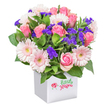 A modern floral arrangement sits poised in a crisp white square pot, its lines clean and contemporary-just like the evolving streets of New Barnet. The bouquet brims with the charm of pink roses in varying stages of bloom, some tightly furled, others unfolding into generous, plush layers. Among them, soft pastel gerbera daisies with their distinctive yellow-white centers bring lightness and cheer, reminiscent of a restful afternoon spent in Friary Park. Bold clusters of feathery purple statice are artfully interspersed, adding depth and a playful touch, while white filler blossoms-perhaps miniature chrysanthemums-lend brightness and balance. The fresh, vibrant greenery peeks out at every turn, giving the arrangement a lively, garden-fresh appearance. Across the container's front, a small red ladybug illustration and the inscription Little stars in friendly green script evoke a sense of whimsy and community, echoing the friendly faces of local markets. Perfect for occasions such as birthdays, thank-yous, or simply to brighten the day, this thoughtfully crafted bouquet showcases the care and local pride that defines floral gifts from New Barnet's finest flower shop.