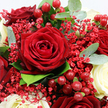 This close-up image reveals a sumptuous bouquet that seems ready to be placed on a windowsill overlooking the quiet streets of New Barnet, its colours and textures radiating warmth. Dominating the centre is a fully opened crimson rose, its petals thick, velvety, and perfectly spiralled, the quintessential symbol of love captured at its most complete moment. Surrounding it, other deep red roses nestle closely, some blossoms only partially visible, contributing layers of shadow and richness that make the reds feel almost like fine velvet under gentle light. Threaded between these passionate blooms are creamy white roses, their petals rounded and smooth, opening with a softer, more tranquil energy, lending the bouquet a sense of balance and grace. Fine sprays of tiny scarlet gypsophila weave between the larger flowers, like a delicate red mist, adding intricacy and movement without overpowering the focal roses. Nestled in small clusters throughout the arrangement are glossy red hypericum berries, each one round and gleaming, catching subtle highlights and giving the bouquet a cheerful, festive sparkle that would suit both a romantic dinner and a seasonal celebration in a New Barnet townhouse. Framing this central display of flowers and berries, eucalyptus leaves in muted, silvery-green tones mingle with deeper green foliage, offering a soft, natural background that enhances the vibrancy of the reds and whites. The lighting is soft and flattering, making every surface-from satin-smooth petals to slightly waxy leaves-appear almost touchable. The overall impression is one of intimate romance and understated luxury, a bouquet that would feel equally at home marking an anniversary, a special date night, or simply bringing a touch of elegance into everyday life in New Barnet.