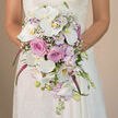In this intimate, eye-level portrait, the camera lingers on a New Barnet bride holding a lavish cascading bouquet, framed from the waist up so her lace wedding dress and the flowers become a single romantic picture. The background melts into a warm, soft blur-tones reminiscent of stone walls and sunlit pavements around New Barnet High Street-making the bouquet the unmistakable focal point. Large white Phalaenopsis orchids dominate, their cool, satiny petals unfolding like butterfly wings and catching the light with a serene glow. At their centers, delicate yellow-gold throats add a subtle glimmer, as if reflecting gentle evening sun over Victoria Park. Interspersed between the orchids, blush pink roses cluster in tight, full rosettes, each bloom spiraling inward with velvety texture that seems almost touchable. Wisps of pale lavender stock and soft purple accents thread through the design, surrounding the roses and orchids with a pastel haze that whispers of spring gardens and calm twilight skies. Scattered sprigs of baby's breath create a fine, mist-like veil over the arrangement, softening lines and adding a sense of quiet luxury. From the main body of the bouquet, vibrant fuchsia and magenta trailing blooms-likely amaranthus-fall freely in a graceful cascade, giving the bouquet a sense of motion, as though it were gently swaying while the bride walks down the aisle of a local New Barnet church. Near the very tip of the teardrop, slim green stems, tiny lavender flowers, and rounded white orchid buds appear, reinforcing the feeling of freshness and newly opened blossoms. The overall effect is one of fluid elegance, a bouquet that feels both carefully designed and naturally flowing, perfectly suited to a heartfelt wedding celebration in and around New Barnet.