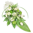 A long, teardrop-shaped sympathy spray in serene whites and fresh greens, pictured against a clean white backdrop. The composition is anchored by creamy white roses in mixed stages of bloom - some petals unfurling in soft spirals, others held in tighter, velvety buds - which give the piece a gentle, human cadence. Two sculptural white calla lilies rise with quiet dignity, their trumpet-like forms introducing a smooth, modern line that contrasts with the textured lime-green button chrysanthemums punctuating the design. Wisps of baby's breath (Gypsophila) float between the larger blooms like pale, breathy clouds, softening edges and adding an ethereal, consoling air. Rich, glossy foliage creates the dense base: deep green leaves of varied shapes, interleaved with variegated leaves that carry delicate white striations, and feathery fern fronds that suggest woodland coolness. Long, bright green blades arch elegantly across the spray, lending movement and a contemporary silhouette, while the whole arrangement tapers gracefully to a broad, smooth tropical leaf that forms a vivid pointed tail. At the upper left, a creamy off-white fabric bow with a subtle matte texture offers a formal, comforting accent. The lighting is soft and even, revealing the tactile contrast between satin petals and glossy leaves and suggesting a faint, green-wood scent. As a floral tribute appropriate for funerals or memorials in New Barnet - whether for a service near Station Road or a quiet ceremony by Brunswick Park - this arrangement conveys calm respect, careful craftsmanship, and a gentle promise of remembrance.