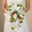 The image presents a close-up of a bride's hands gently holding a luxurious cascading bouquet, cradled against the intricate off-white lace of her gown so that the pattern of the dress frames the flowers. At the top of the bouquet, white oriental lilies unfold in wide, sculptural blooms, some petals marked with delicate reddish-brown speckles that lead the eye towards the stamens at their centre. Tucked securely between these lilies, an ivory rose and its companions form a soft focal cluster, each rose made of tightly layered petals that curl inwards like a quiet promise. Fine sprays of white baby's breath are threaded through the main blooms, their tiny blossoms creating a soft, cloud-like haze that lends an ethereal quality. Below, the bouquet tapers into a flowing cascade of white Phalaenopsis orchids, their rounded petals arranged along arching stems that emphasise the teardrop shape so often chosen for traditional bridal bouquets. Interspersed throughout are vibrant lime-green, spherical flowers-likely Green Trick dianthus or pompon chrysanthemums-whose velvety, mossy texture and bright colour inject a lively, contemporary contrast. Small clusters of red hypericum berries peek between petals and greenery, adding lively dots of crimson that feel celebratory, like the happy bustle of a wedding reception in New Barnet's local venues. Delicate green foliage and deeper, glossy leaves frame the floral elements, giving the bouquet a lush, layered structure and echoing the greenery of nearby parks. The arrangement looks freshly designed, as though crafted that morning by an experienced New Barnet florist, a bespoke bridal piece that balances formality with the gentle, romantic ease of a garden in bloom.