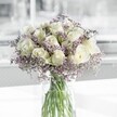 A serene white and lavender bouquet stands in a simple cylindrical glass vase, bathed in soft, natural light like a calm morning in New Barnet. At the centre, creamy white roses open in perfect spirals, each velvety petal catching the light so gently that the blooms appear to glow from within. Around them, airy sprays of lilac-tinted limonium, often called sea lavender, create a delicate, misty halo, their tiny clustered flowers giving the arrangement a cloud-like softness. The stems, visible through the clear water, form clean vertical lines in shaded greens, grounding the design with a sense of clarity and order. There is no heavy foliage to distract the eye, just the refined dialogue between white roses and pale lavender filler, resulting in an impression of purity, stillness, and understated grace. The bouquet feels as though it might be resting on a tidy windowsill overlooking a quiet street off East Barnet Road, bringing in a breath of calm to a busy household. Its expression is versatile yet always gentle: it could easily sit beside a framed photograph at a remembrance gathering, offer comfort in a hospital room near Barnet Hospital, or add a tranquil accent to a modern flat near Oakhill Park. The imagined fragrance is light and soothing-a soft blend of classic rose and subtle herbal notes from the limonium-suggesting fresh linens, open windows, and a peaceful pause in the day. Every detail speaks of care and precision, from the balanced heights of the stems to the evenly spaced blossoms, making this arrangement a quiet companion for moments of reflection, sympathy, or thoughtful congratulations.